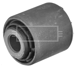 Mounting, control/trailing arm (BSK8056)