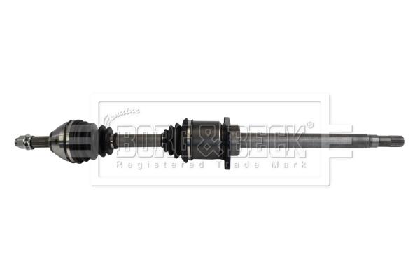 Drive Shaft (BDS1091)