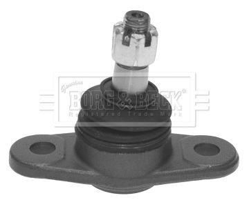 Ball Joint (BBJ5544)