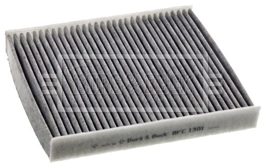 Filter, cabin air (BFC1301)