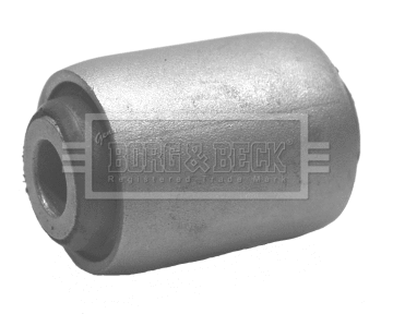 Mounting, control/trailing arm (BSK6522)