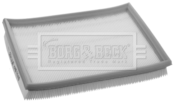 Air Filter (BFA2455)