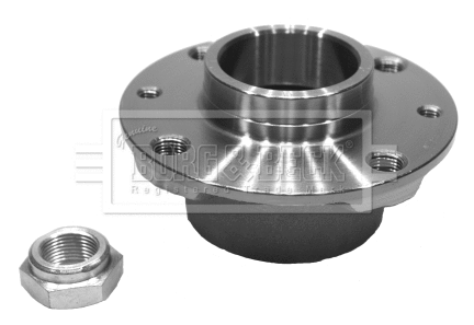 Wheel Bearing Kit (BWK291)