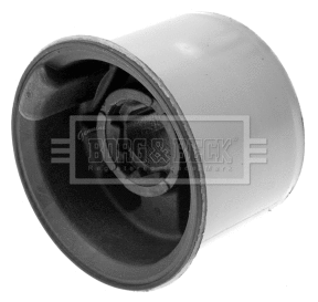 Mounting, control/trailing arm (BSK6368)