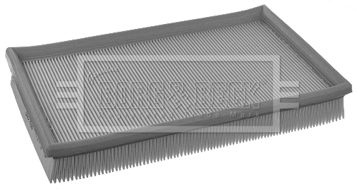 Air Filter (BFA2290)