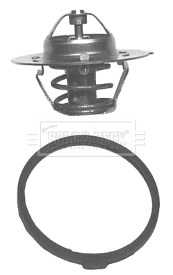 Thermostat, coolant (BBT048)
