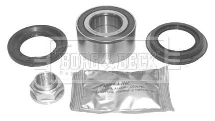 Wheel Bearing Kit (BWK256)