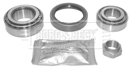 Wheel Bearing Kit (BWK494)