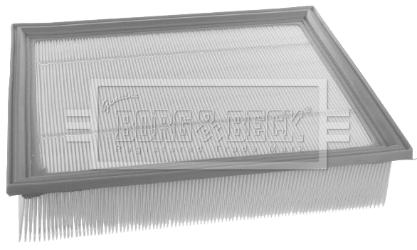 Air Filter (BFA2461)