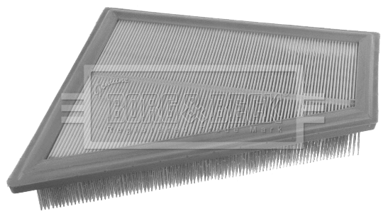 Air Filter (BFA2433)
