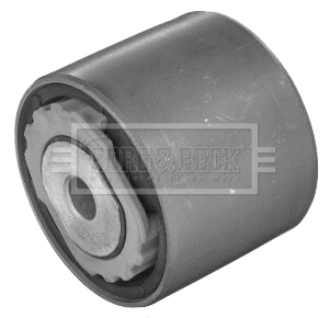 Mounting, control/trailing arm (BSK8075)