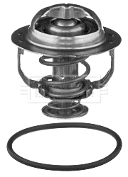 Thermostat, coolant (BBT094)