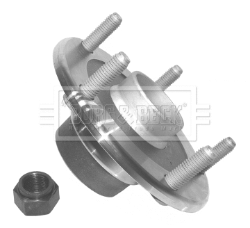 Wheel Bearing Kit (BWK863)