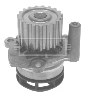 Water Pump, engine cooling (BWP2231)