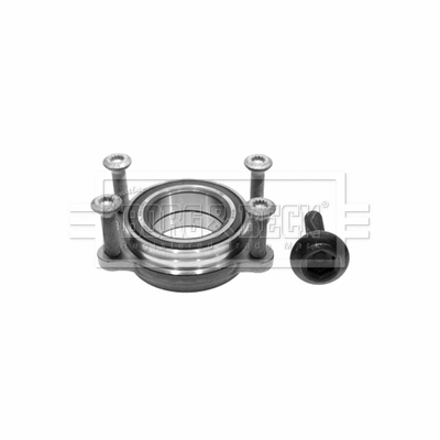 Wheel Bearing Kit (BWK1109)