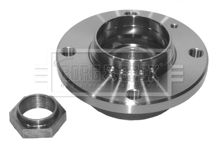 Wheel Bearing Kit (BWK209)