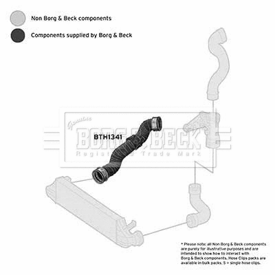 Charge Air Hose (BTH1341)