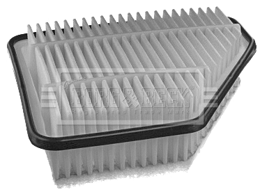 Air Filter (BFA2164)