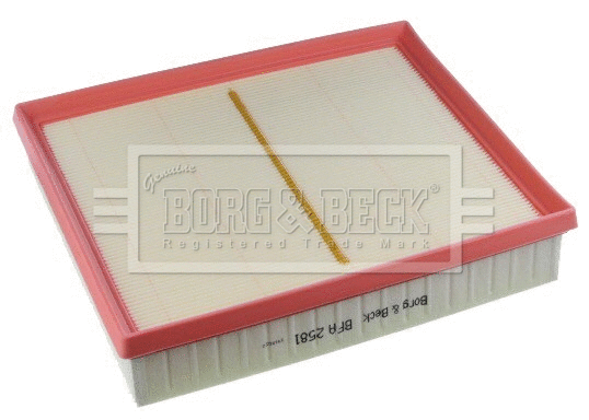 Air Filter (BFA2581)