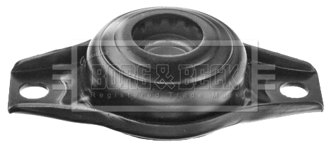 Suspension Strut Support Mount (BSM5415)