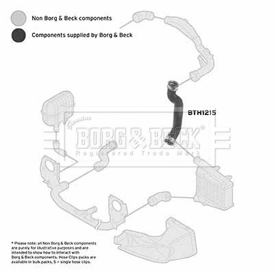 Charge Air Hose (BTH1215)