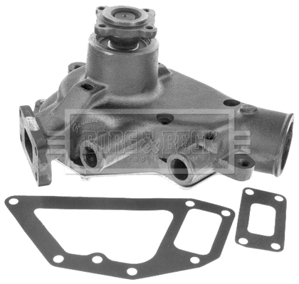 Water Pump, engine cooling (BWP32733)