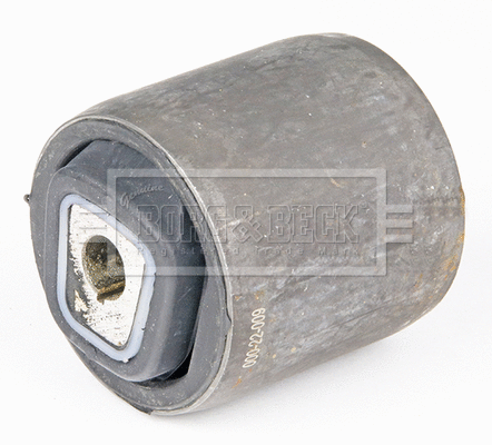 Mounting, control/trailing arm (BSK8150)
