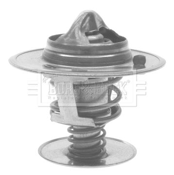 Thermostat, coolant (BTS219.92)