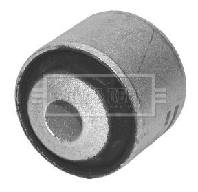 Mounting, control/trailing arm (BSK6590)