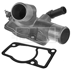Thermostat, coolant (BBT246)