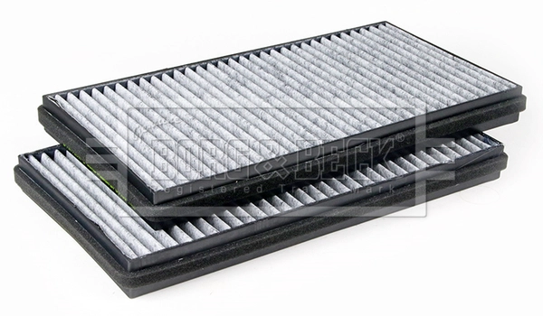 Filter, cabin air (BFC1186)