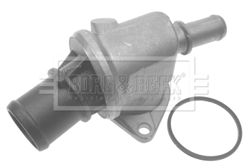 Thermostat, coolant (BTS420.88)