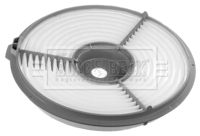 Air Filter (BFA2458)