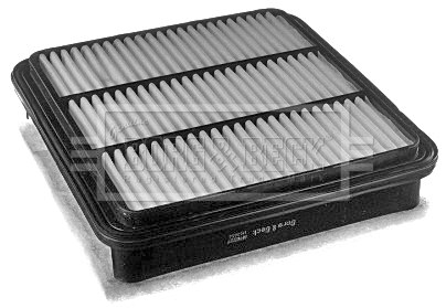 Air Filter (BFA2227)