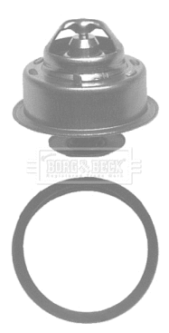 Thermostat, coolant (BBT009)