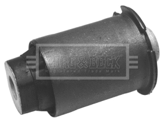 Mounting, control/trailing arm (BSK6345)