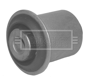 Mounting, control/trailing arm (BSK6700)