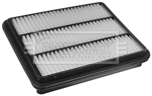 Air Filter (BFA2519)