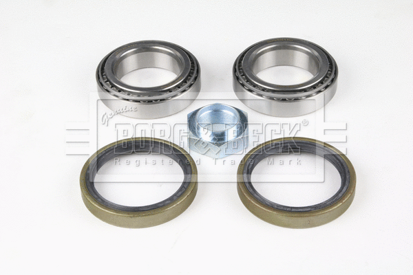 Wheel Bearing Kit (BWK492)