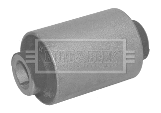 Mounting, control/trailing arm (BSK6699)