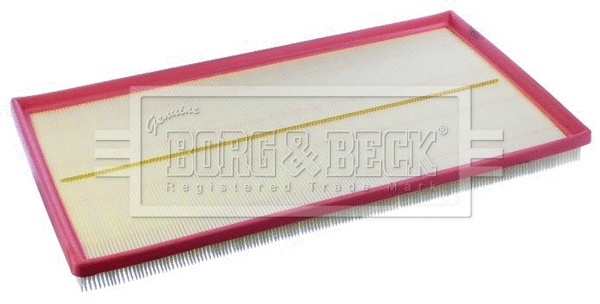 Air Filter (BFA2448)