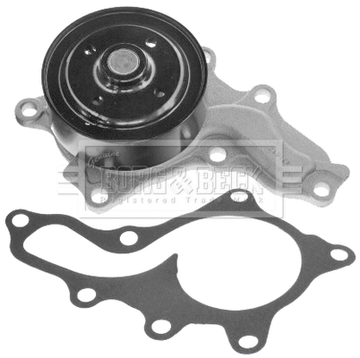 Water Pump, engine cooling (BWP2434)