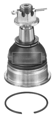 Ball Joint (BBJ5748)