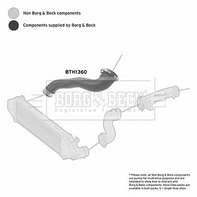Charge Air Hose (BTH1360)