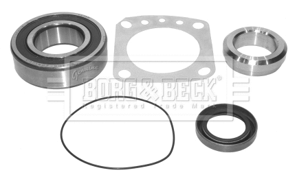 Wheel Bearing Kit (BWK466)