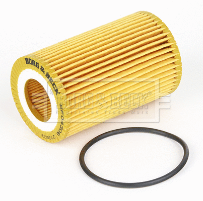 Oil Filter (BFO4306)