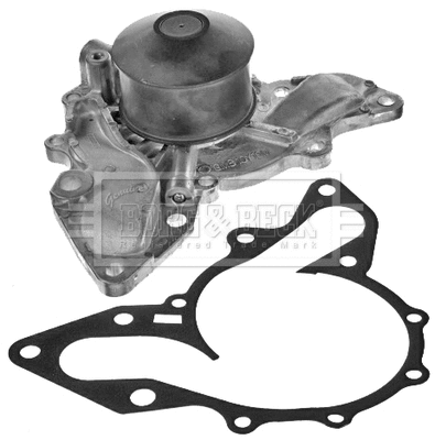 Water Pump, engine cooling (BWP2168)