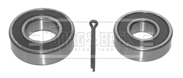 Wheel Bearing Kit (BWK432)