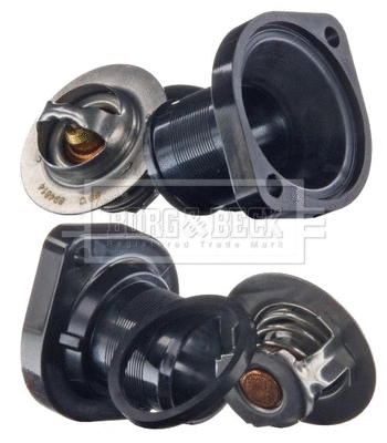 Thermostat, coolant (BBT069)