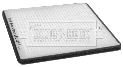 Filter, cabin air (BFC1247)